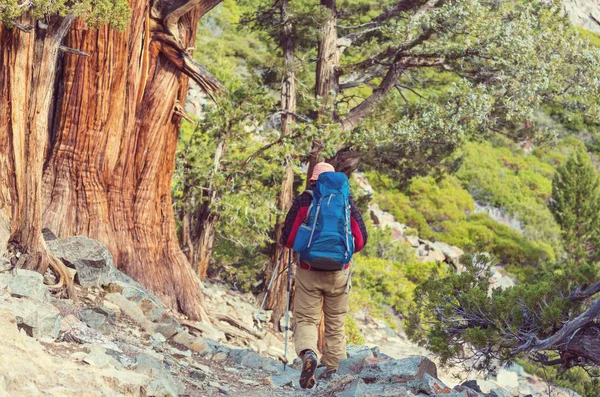 Uzun yürüyüşe çıkan kimse Sierra Nevada — Stok fotoğraf