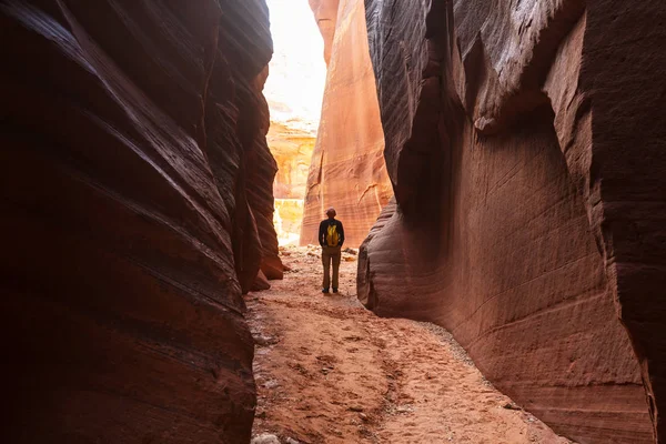 Hiker in the Utah mountains — Stock Photo, Image