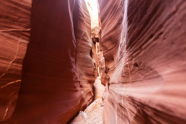 Canhão de fenda em Grand Staircase Escalante National Park — Fotografia de Stock