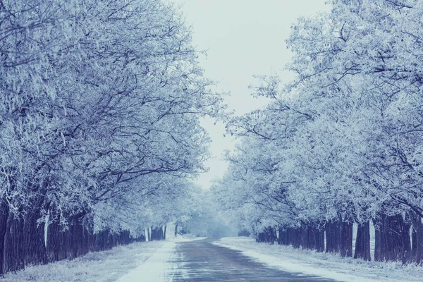 雪に覆われた冬の路地 — ストック写真