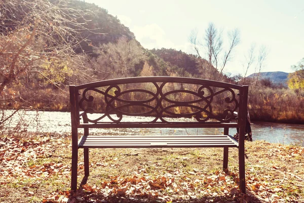 Bahçe sunrice, tezgah — Stok fotoğraf