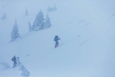 Kış dağlarında yürüyüşçüler