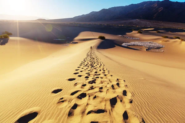 Caminhante no deserto de areia . — Fotografia de Stock
