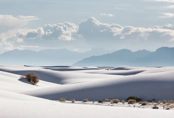 Dunas de arena blanca inusuales — Foto de Stock