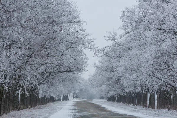 Vackra vinter gränd — Stockfoto