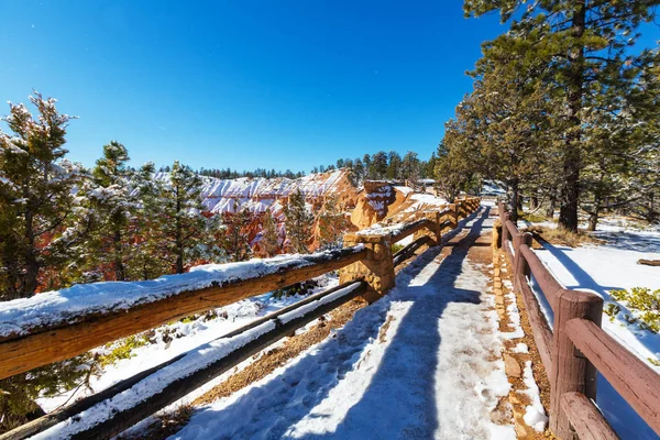 Kış Bryce canyon — Stok fotoğraf