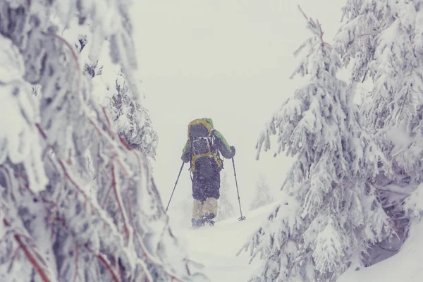 Senderista en las montañas de invierno — Foto de Stock
