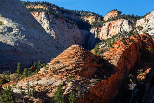 Zion national park — Stok fotoğraf