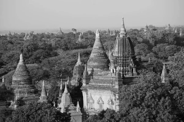 Bagan vid solnedgången i myanmar — Stockfoto