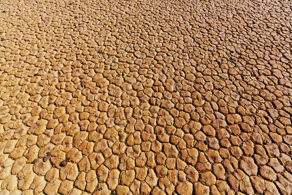 Terre aride nel deserto da vicino — Foto Stock