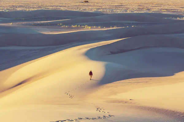砂の砂漠でハイカー — ストック写真