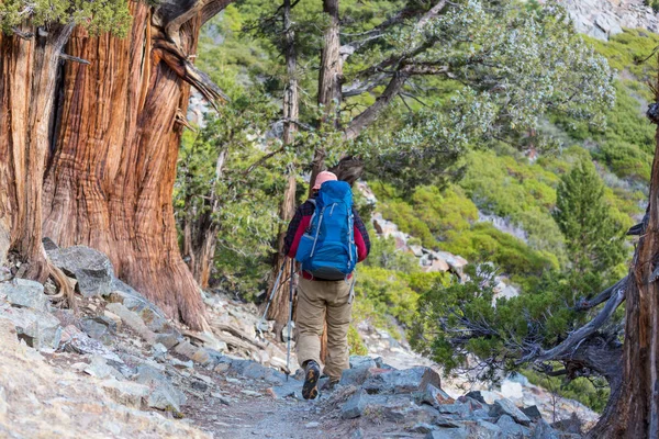 Wanderung in der Sierra Nevada — Stockfoto
