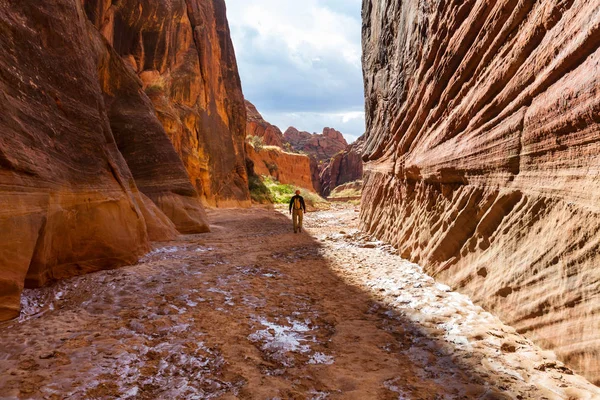 Turista v horách Utah — Stock fotografie