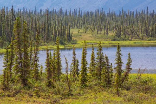 Lac de sérénité dans la toundra de l'Alaska — Photo