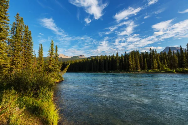 Vue pittoresque sur la montagne — Photo