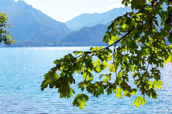 Serenity Gölü dağlarda