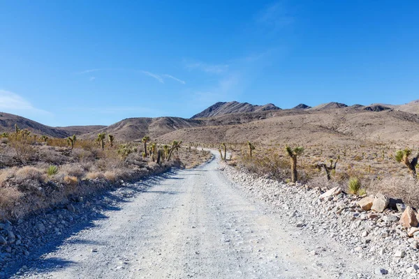 Pradera paisajes del desierto — Foto de Stock