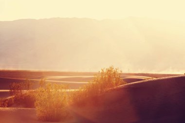 kum tepeleri California