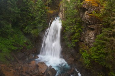 Vancouver doğanın güzelliği 
