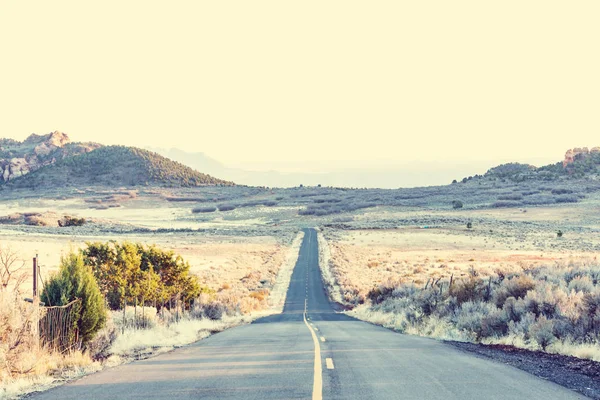 草原地帯の道路 — ストック写真