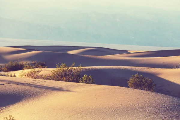 Sanddünen in Kalifornien — Stockfoto