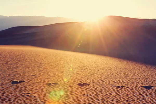 Homokdűnék a Szahara sivatagban — Stock Fotó