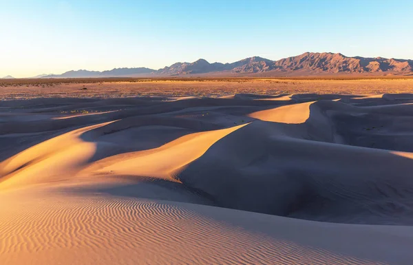 Písečné duny v poušti Sahara — Stock fotografie