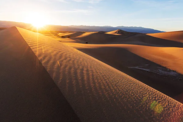 Sanddünen in der Sahara — Stockfoto