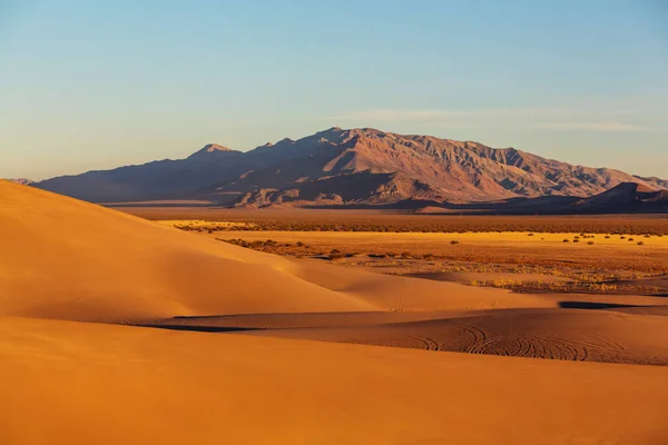 Zandduinen in de sahara woestijn — Stockfoto