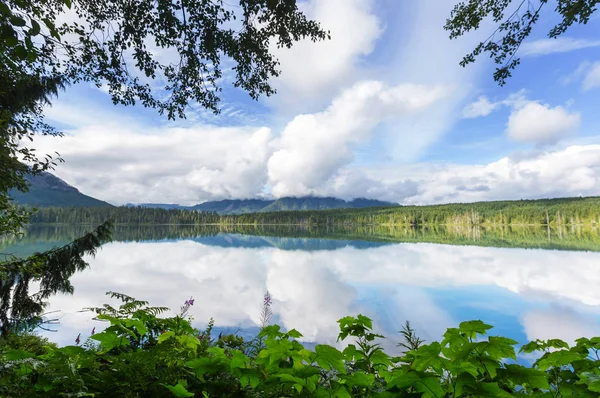 Schoonheid van de natuur in Vancouver — Stockfoto
