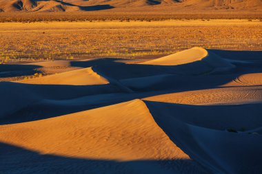Sahara çölünde kum tepeleri