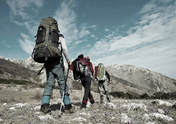 Tres excursionistas en las montañas —  Fotos de Stock