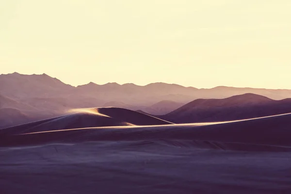 Піщані дюни пустелі Сахара. — стокове фото