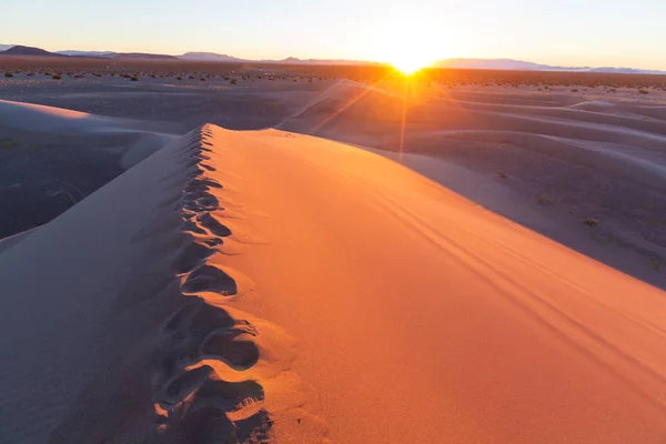 Sahara çölünde kum tepeleri — Stok fotoğraf