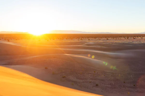 Písečné duny v poušti Sahara — Stock fotografie
