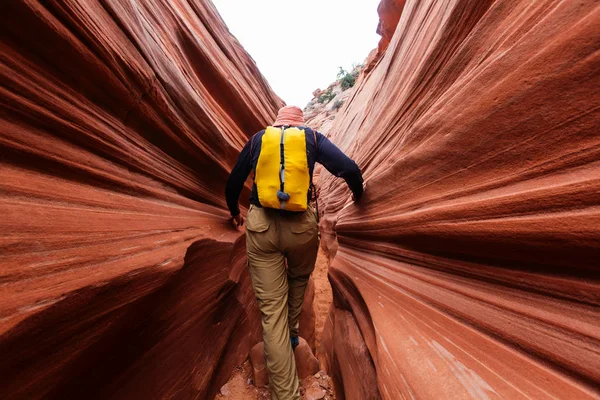 Hombre en la barranca de la ranura en el Parque Nacional Grand escalera