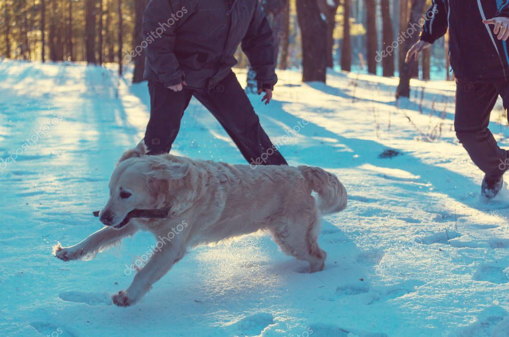 kamchatka