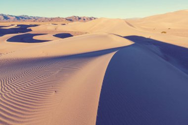 Sahara çölünde kum tepeleri
