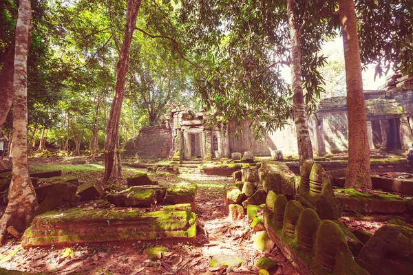 Antiguas ruinas de la civilización Khmer de Angkor —  Fotos de Stock