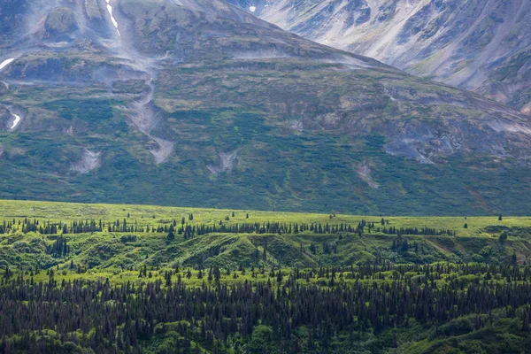 Pittoresca vista sulle Montagne Rocciose Canadesi — Foto Stock