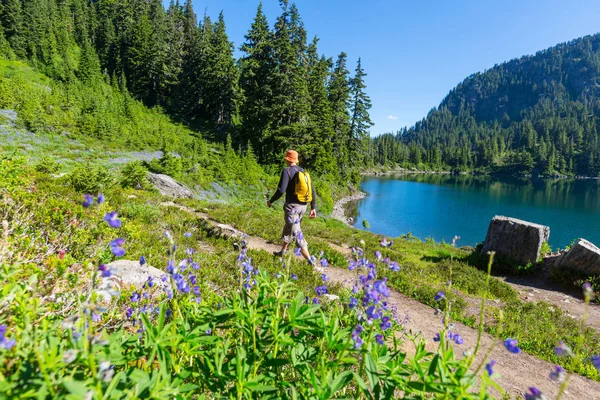 Backpacker i sommarbergen — Stockfoto