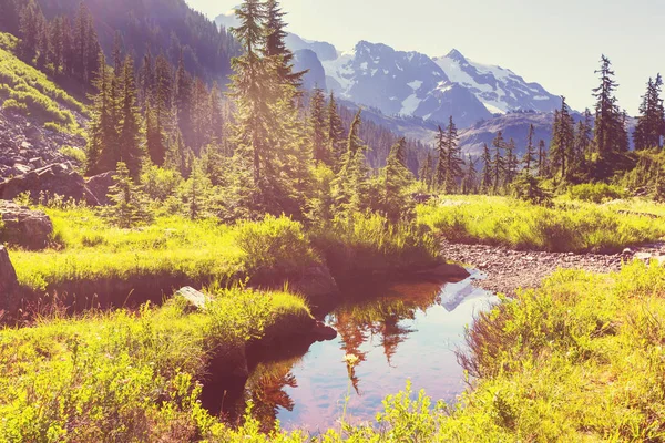 Mt. Baker recreation area — Stock Photo, Image