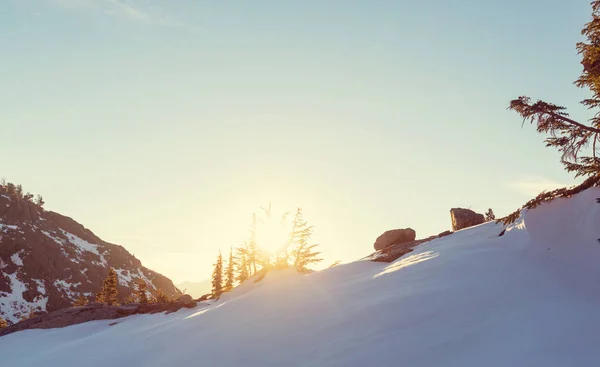 Sierra nevada bergen — Stockfoto