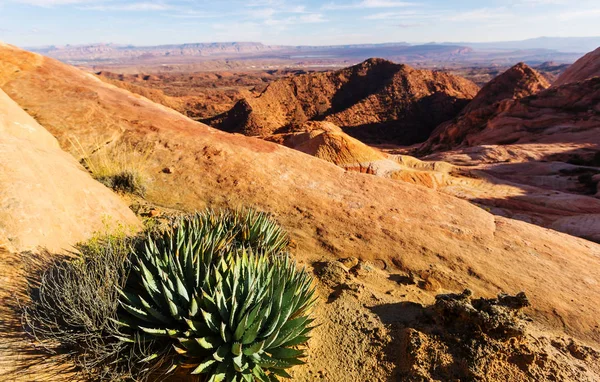 Sandsteinformationen in utah — Stockfoto