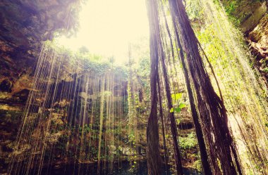 IK-kil hipotermik, Meksika