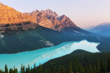 Peyto Lake in Banff National Park clipart