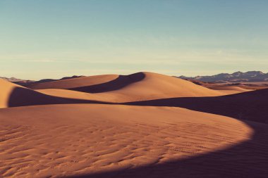 Sahara çölünde kum tepeleri