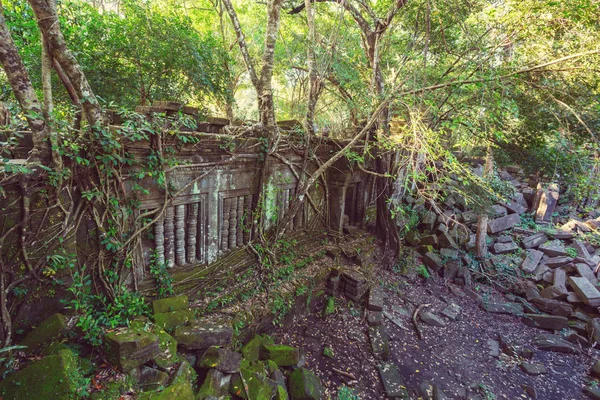 Antik Khmer uygarlık kalıntıları — Stok fotoğraf