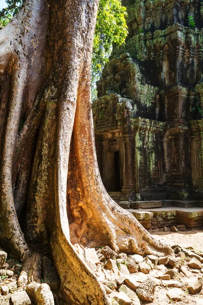 Ancient Khmer civilization ruins — Stock Photo, Image