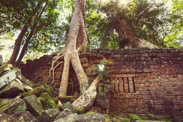 L'ancienne civilisation khmère ruine — Photo